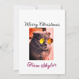 Convite Feliz Natal, gato, cão de estimação, foto de amor
