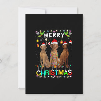 Convite Feliz Natal Vizsla Shirt Santa Hat Lights Xmas
