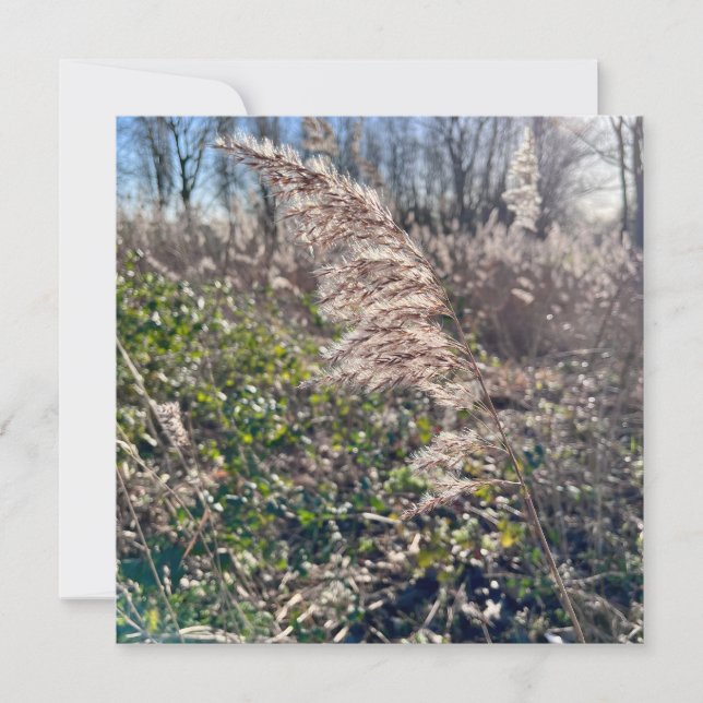 Convite Feliz outono. (Frente)