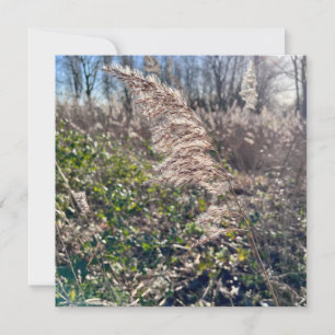 Convite Feliz outono.