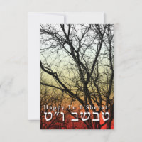 Feliz Tu B’Shevat! : Dia da Árvore Judaica
