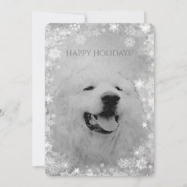 Convite Feriado de Natal - Feriados em Pirenéus Excelentes