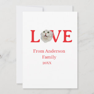 Convite Férias de amor foto de gato animal de estimação no