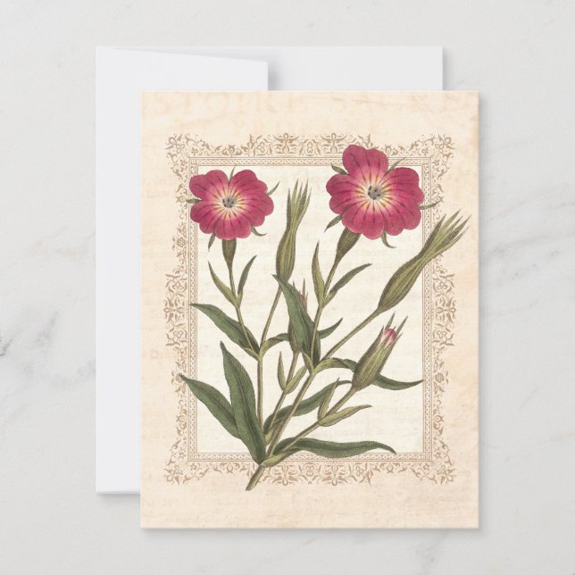 Convite Festa de 50 Anos da Elegante Senhora de Jardinagem (Frente)