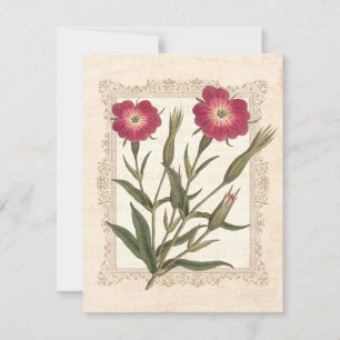 Convite Festa de 50 anos da elegante senhora de jardinagem