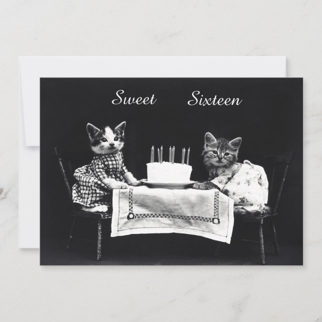 Convite Festa de aniversário bonito do doce dezesseis dos (Frente)