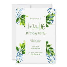 Festa de Aniversário de 16 Anos Esqueci-Me-Não