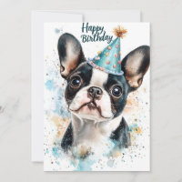 Festa de aniversário de Boston Terrier