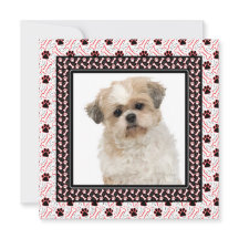 Festa de aniversário de Cachorro ou Cachorro Junto