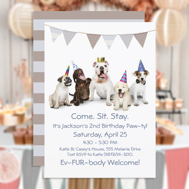 Convite Festa de Aniversário de Cachorro para Menino (Criador carregado)