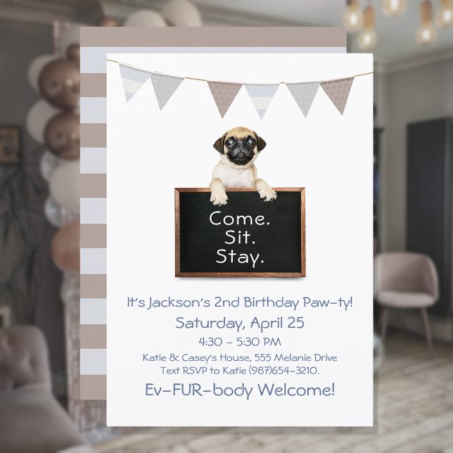 Convite Festa de Aniversário de Cachorro para Pug Macho (Criador carregado)