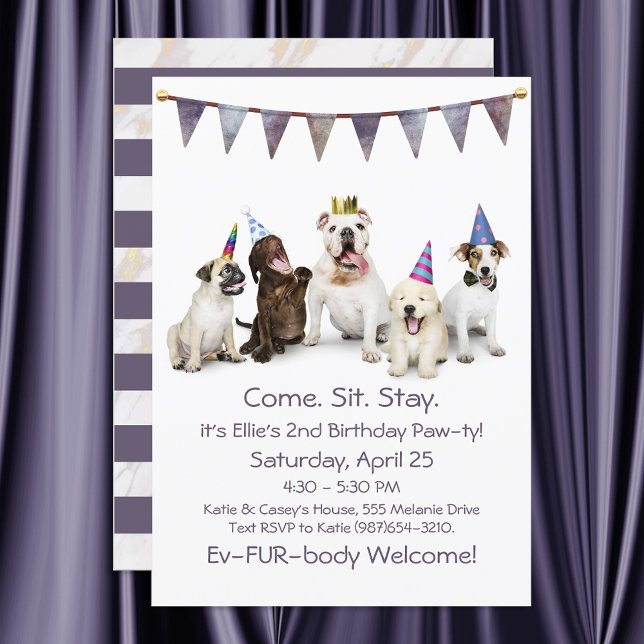 Convite Festa de Aniversário de Cachorro para Qualquer Fil (Criador carregado)