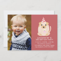 Festa de aniversário de Fotografias Personalizadas