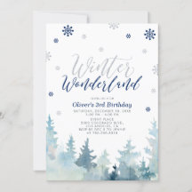 Festa de Aniversário de Menino de Inverno Prata e 