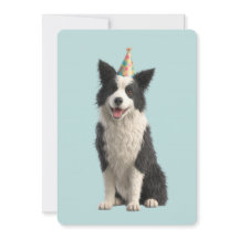 Festa de Aniversário do Collie