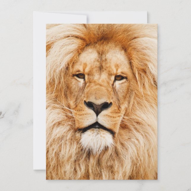 Convite Festa de aniversário do leão (Frente)