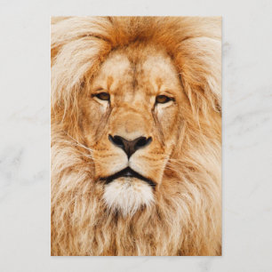 Convite Festa de aniversário do leão