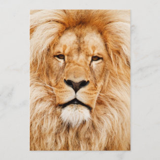 Convite Festa de aniversário do leão