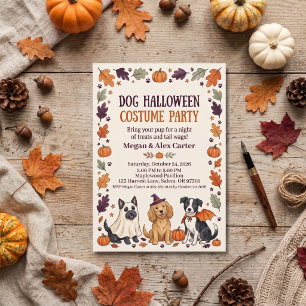 Convite Festa de Fantasias de Halloween para Cães Laranja 