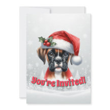 Festa de Fim de Ano do Jingle Paws e Boxer Dog Joy