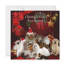 Festa de Natal dos Animais de Estimação Xmas Tigre
