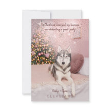 Festa de Natal sofisticada para Pet Foto