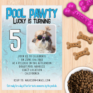Convite Festa de piscina para cachorro com foto personaliz