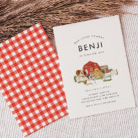 Festa de primeiros aniversarios de Crianças de Cow