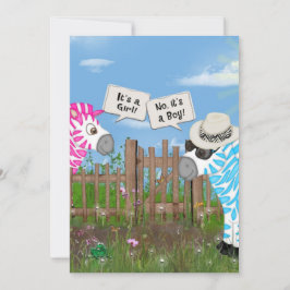 Convite Festa de Revolução do Gênero do Bebê