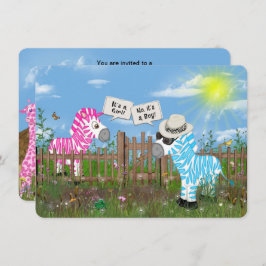 Convite Festa de Revolução do Gênero do Bebê