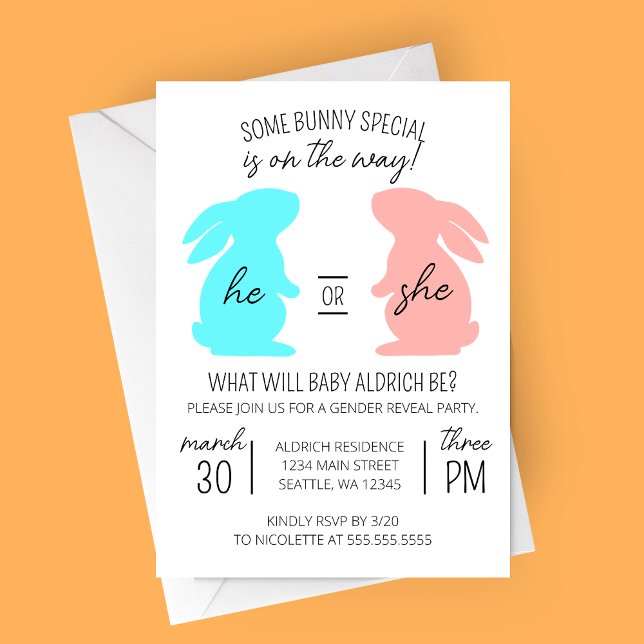Convite Festa de Revolução Especial de Gênero Bunny (Bunny on the Way Modern Gender Reveal Party Invitation with Blue and Pink Bunnies)