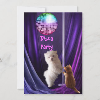 Convite Festa Disco Cachorro Gato Maltês Filhote