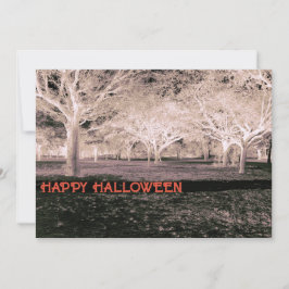 Convite Festa do Dia das Bruxas Branca e Negra - Florestas