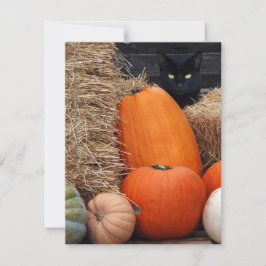 Convite Festa do Dia das Bruxas de Black Cat e Pumpkins