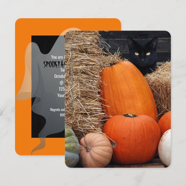 Convite Festa do Dia das Bruxas de Black Cat e Pumpkins (Frente/Verso)