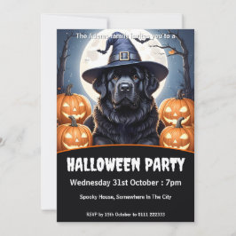 Convite Festa do Dia das Bruxas na Terra Nova