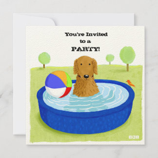 Convite Festa na Piscina do Cachorro Feliz | Golden Retrie