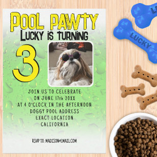 Convite Festa na piscina para cachorro com foto personaliz