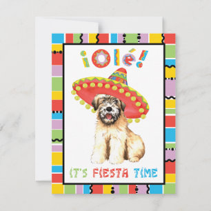 Convite Fiesta Wheaten