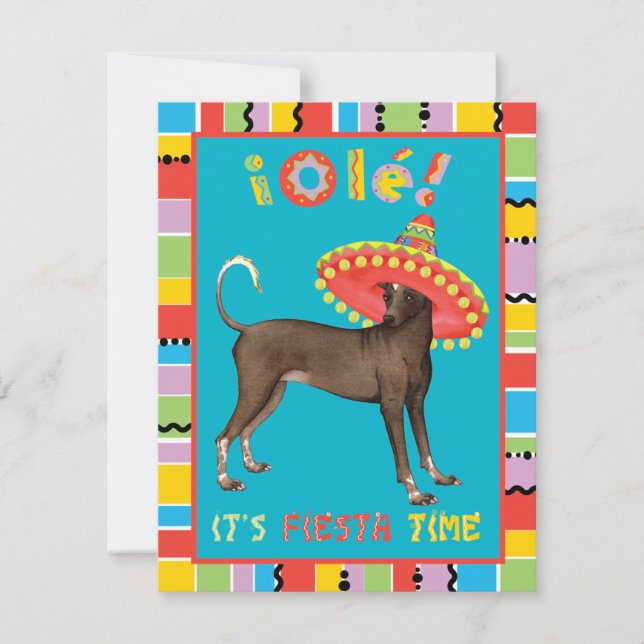 Convite Fiesta Xolo (Frente)