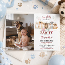 Filhote de Cachorro Bonito Aniversário de 1 Ano | 