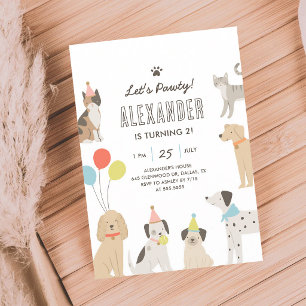Convite Filhote Gatinho Vamos Festejar Aniversário Colorid