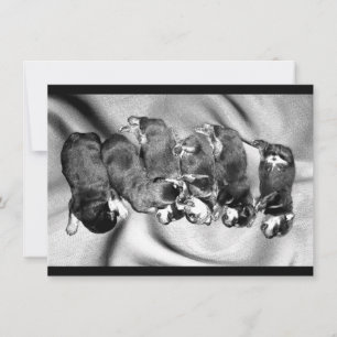 Convite filhotes de cachorro do rottweiler do sleepyhead