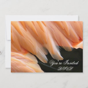 Convite Flamingo Feather_