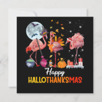 Flamingo|Flamingo, Dia de Ação de Graças, Natal