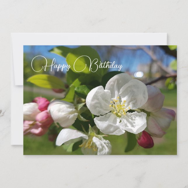 Convite Flor branca de uma macieira. Feliz aniversário (Frente)