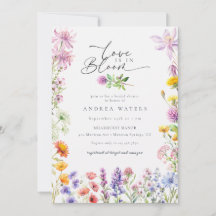 Flor de Campo da Primavera Verão | Chuveiro de Noi