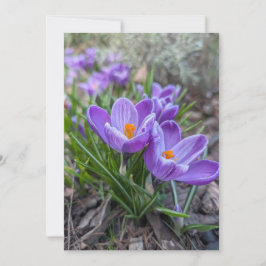 Convite Flor de Crocus Roxo