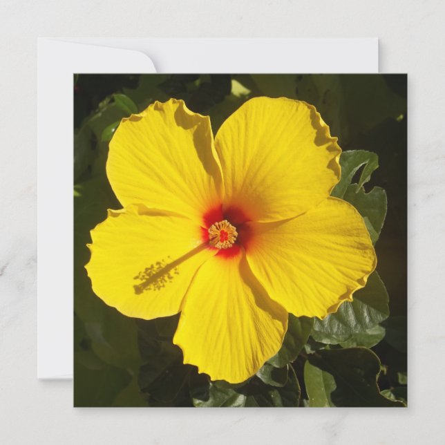 Convite Flor de Hibiscus Amarelo (Frente)