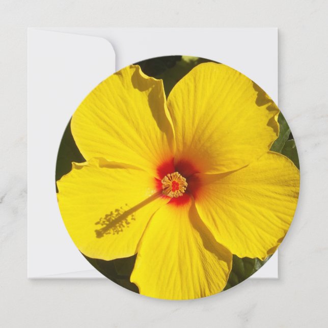 Convite Flor de Hibiscus Amarelo (Frente)